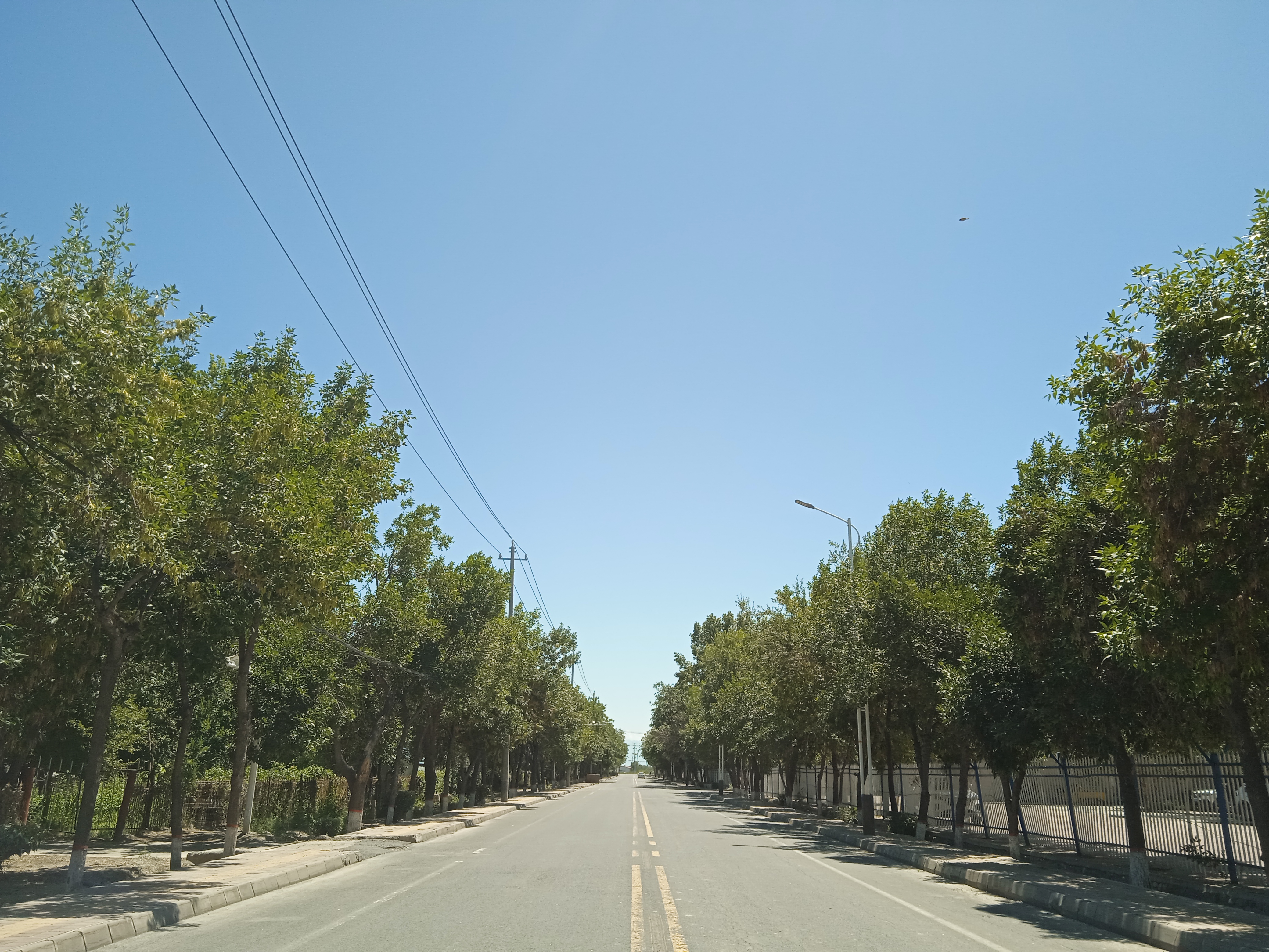 Canal-250712-010